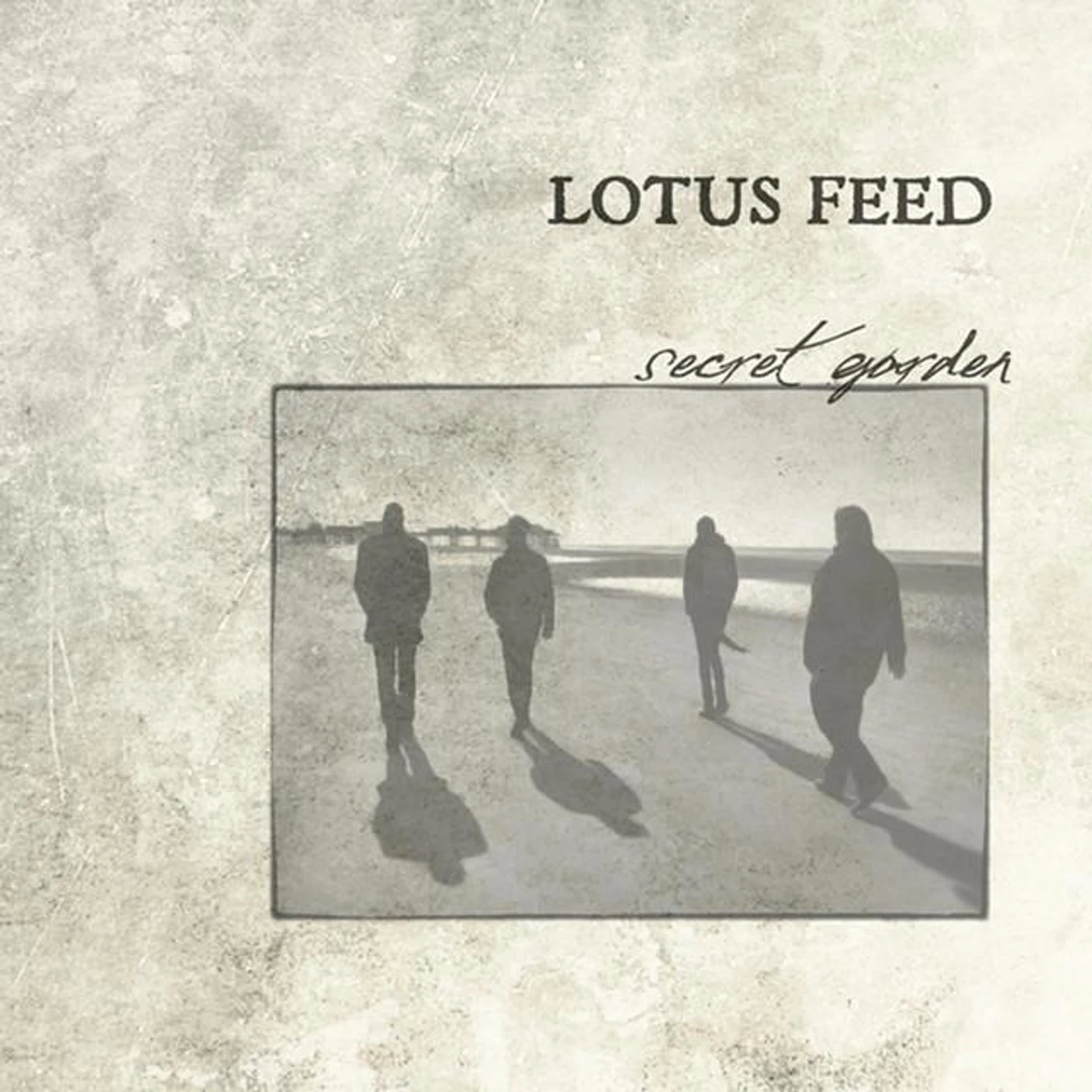 Lotus Feed