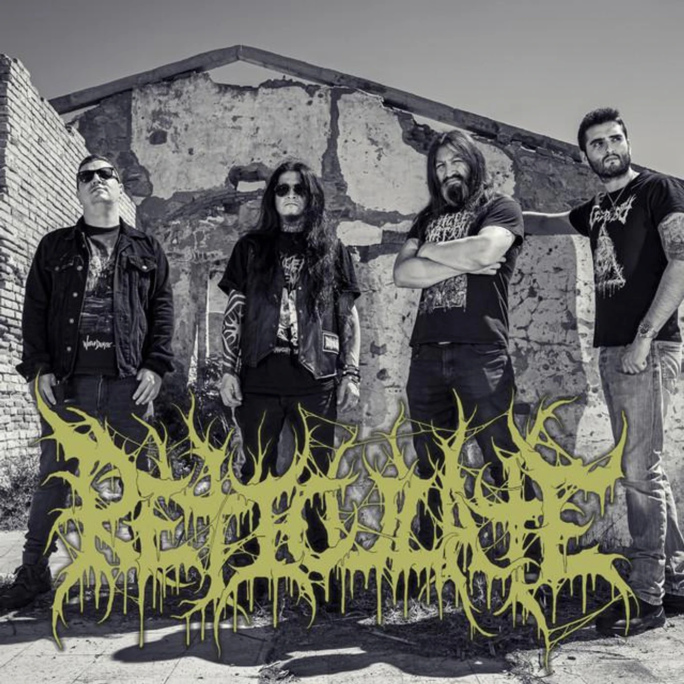Reticulate