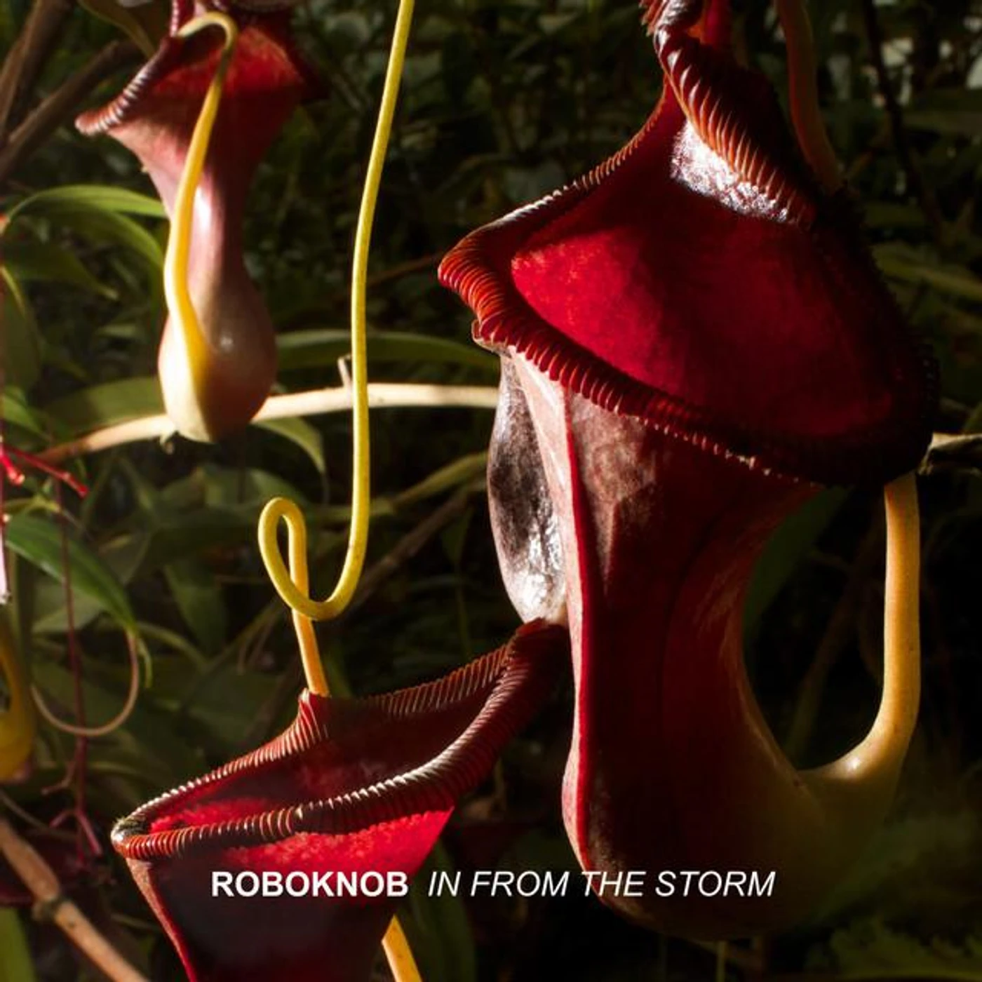 Roboknob