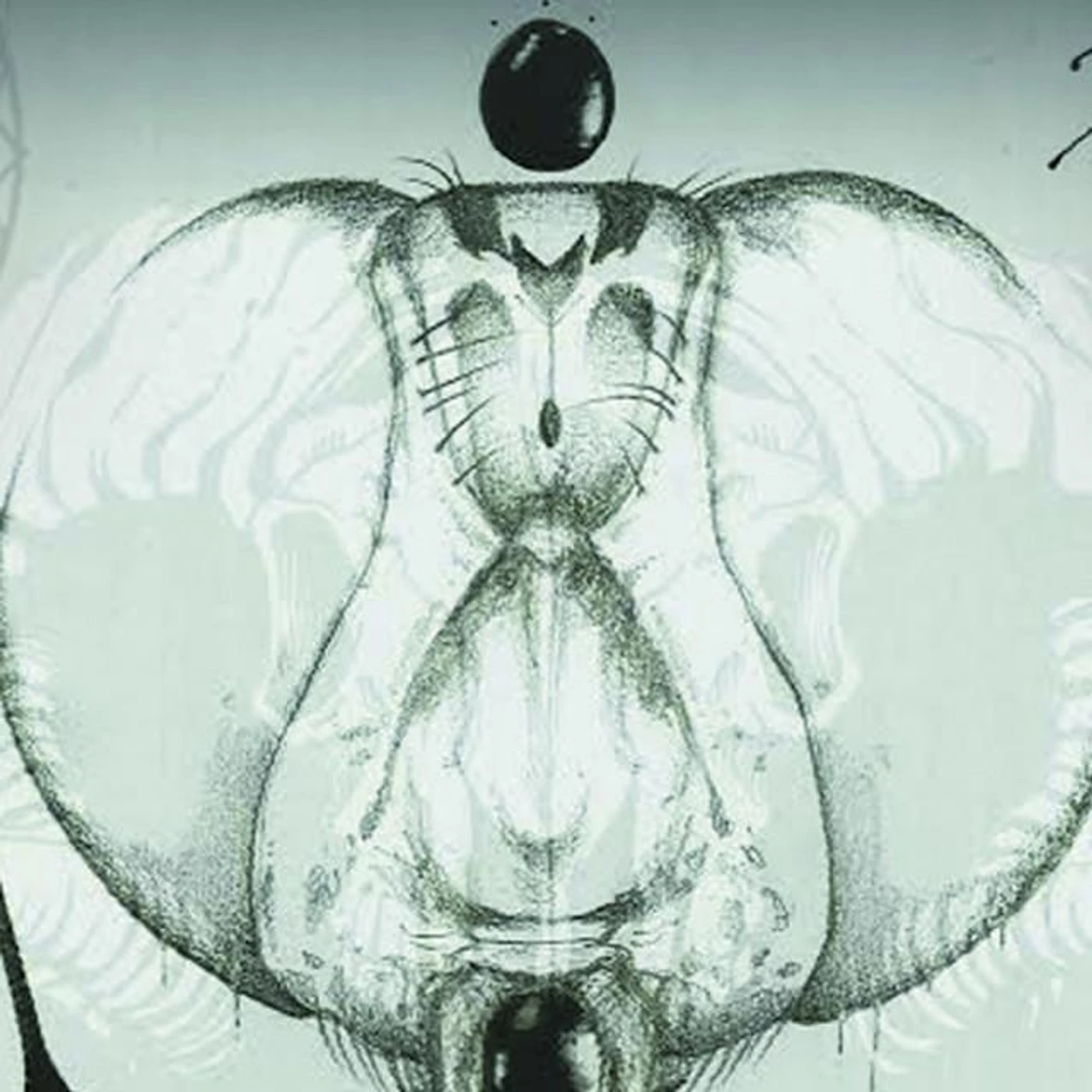 Stomoxys