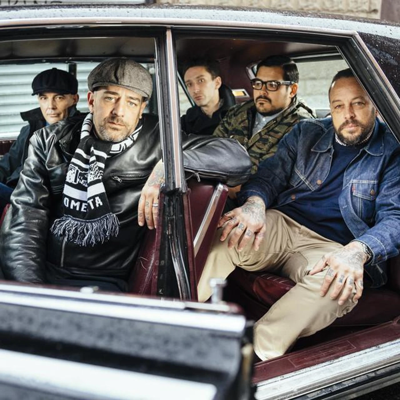 Street Dogs