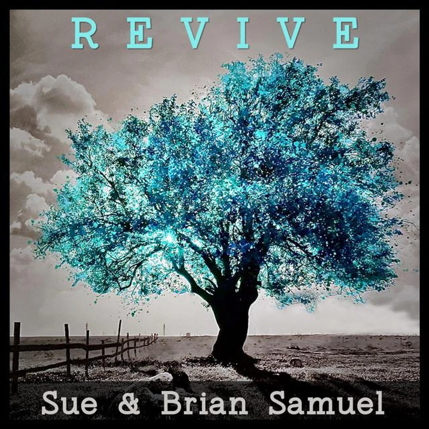 Sue Samuel