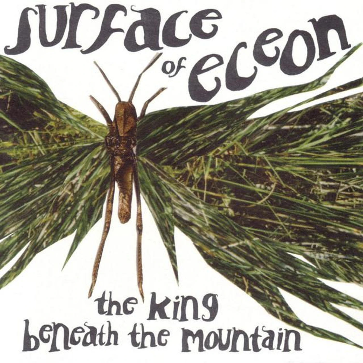 Surface Of Eceyon