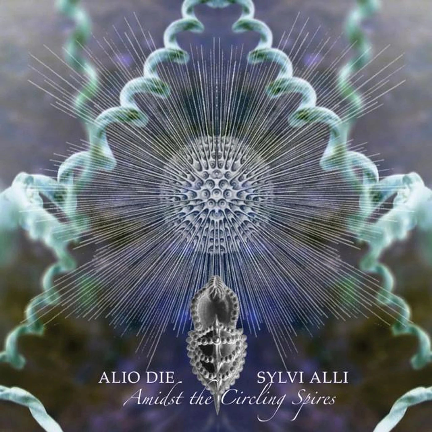 Sylvi Alli