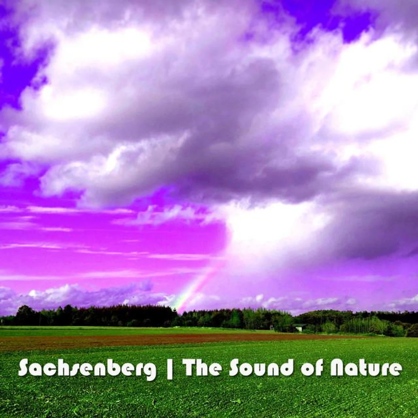Sachsenberg