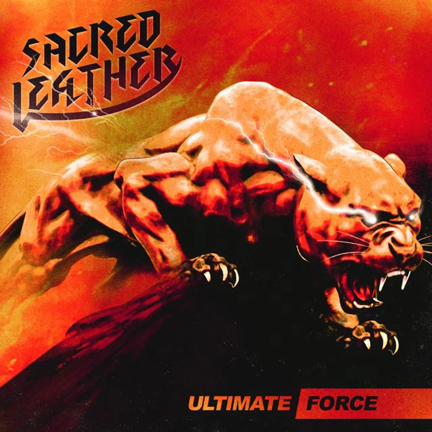 Sacred Leather