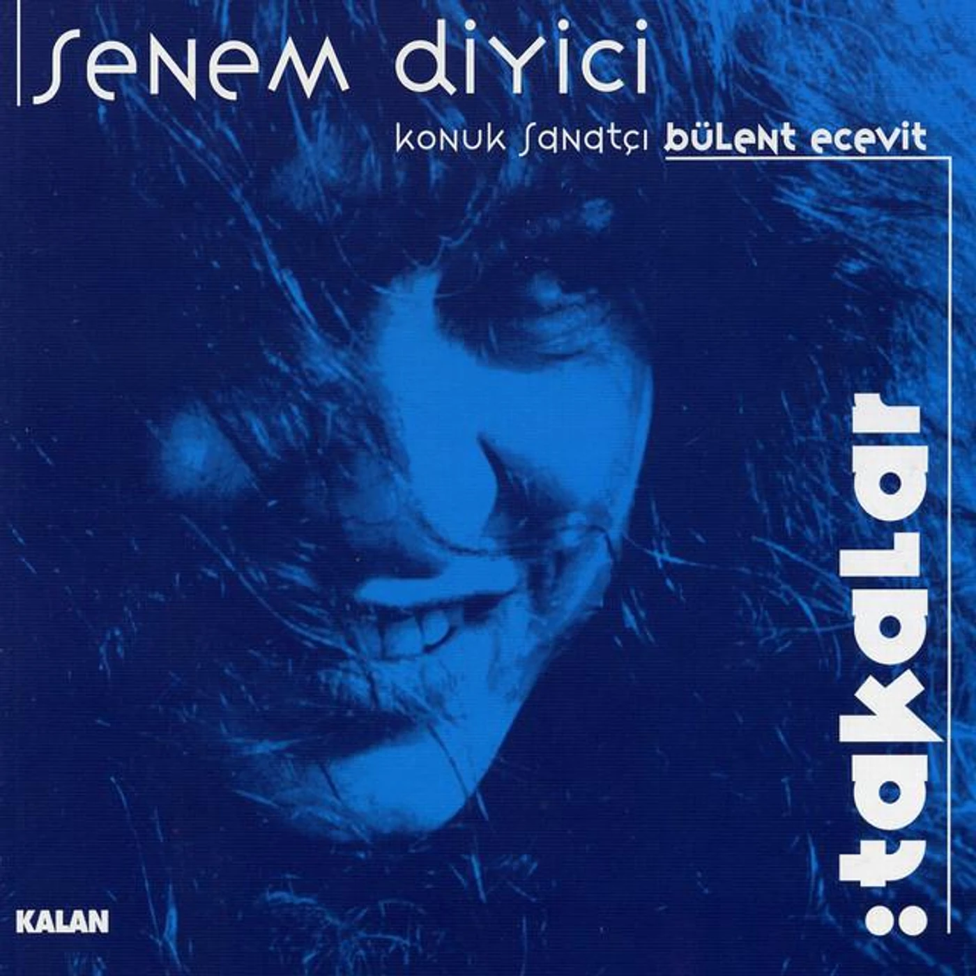 Senem Diyici Quartet