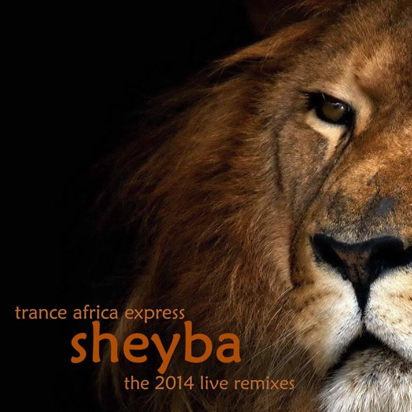 Sheyba