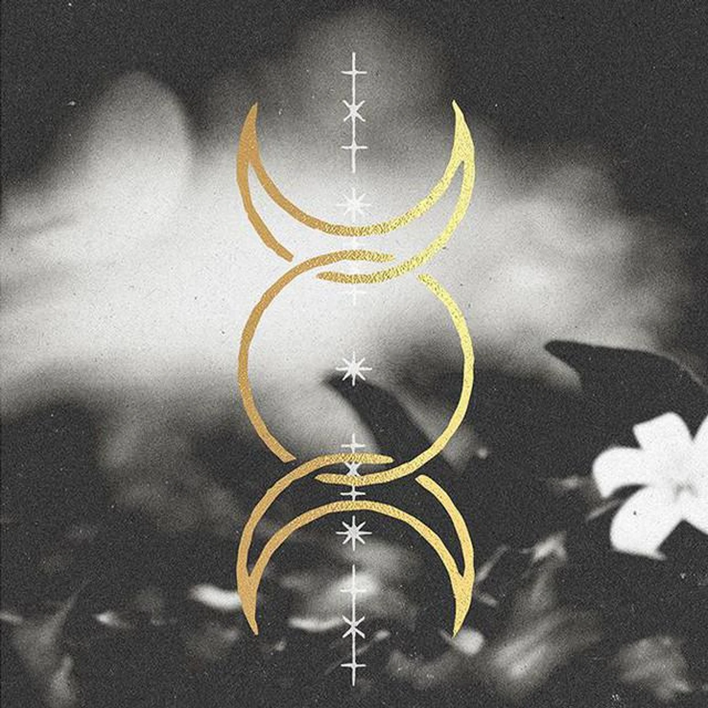 Silver Snakes