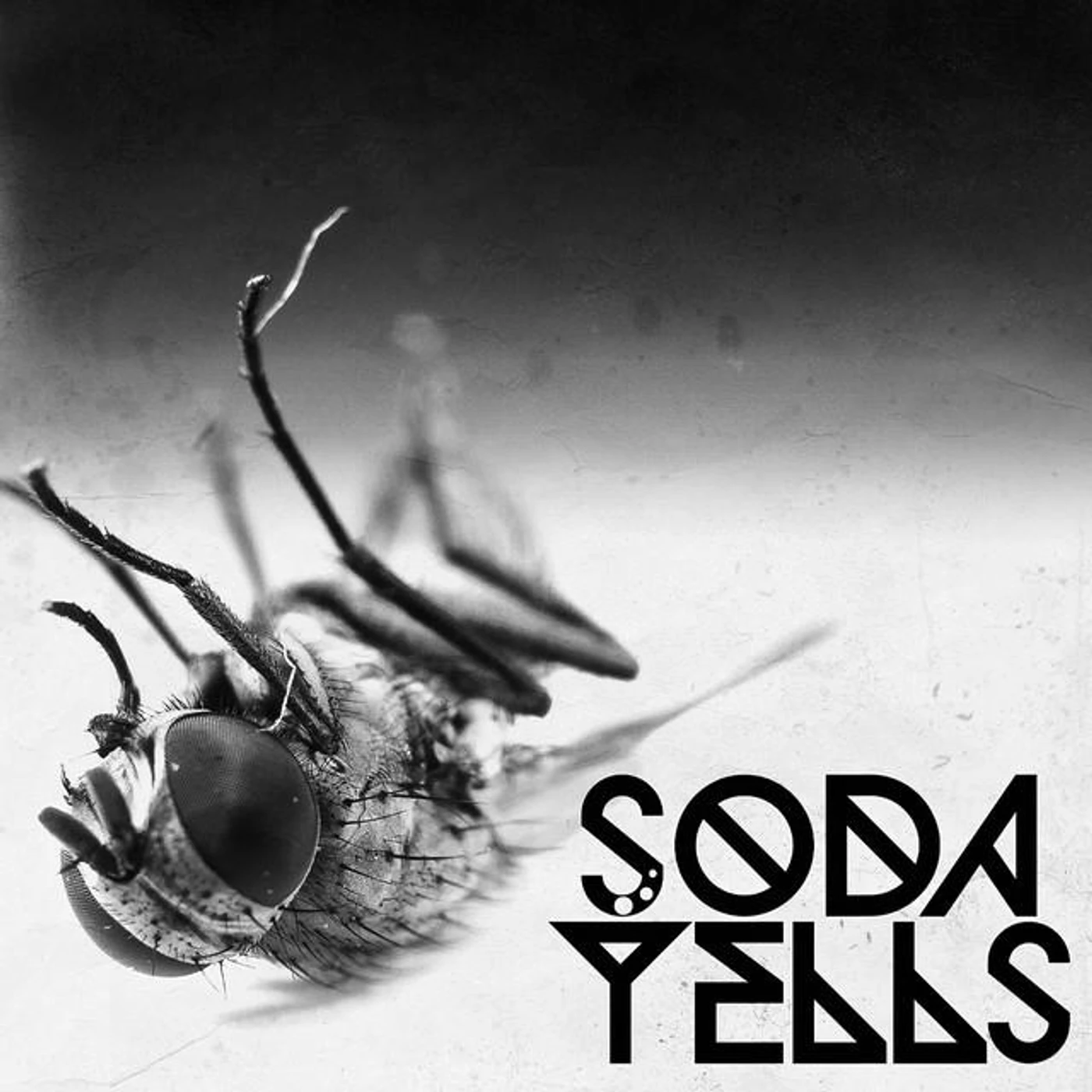 Soda Yells
