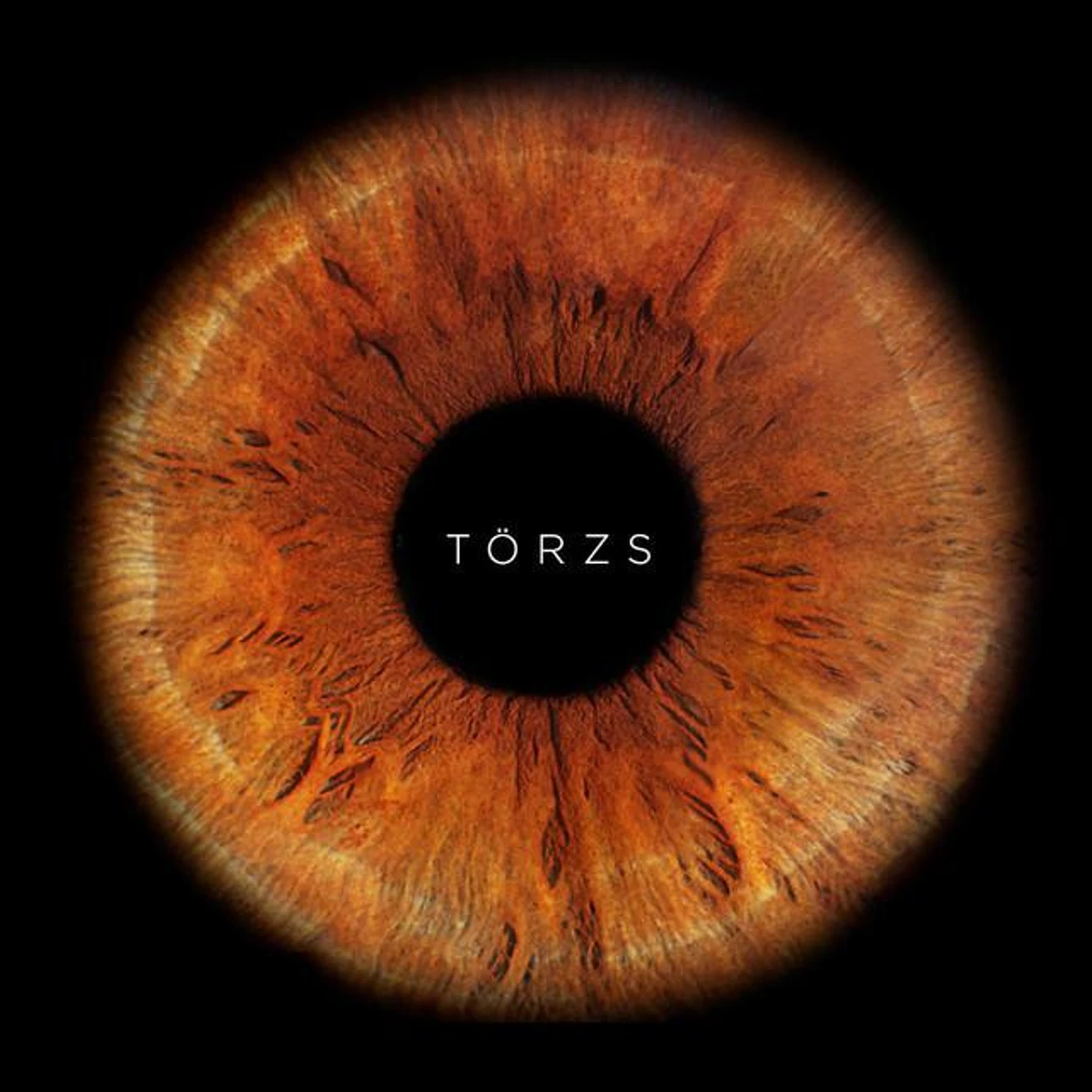 Törzs