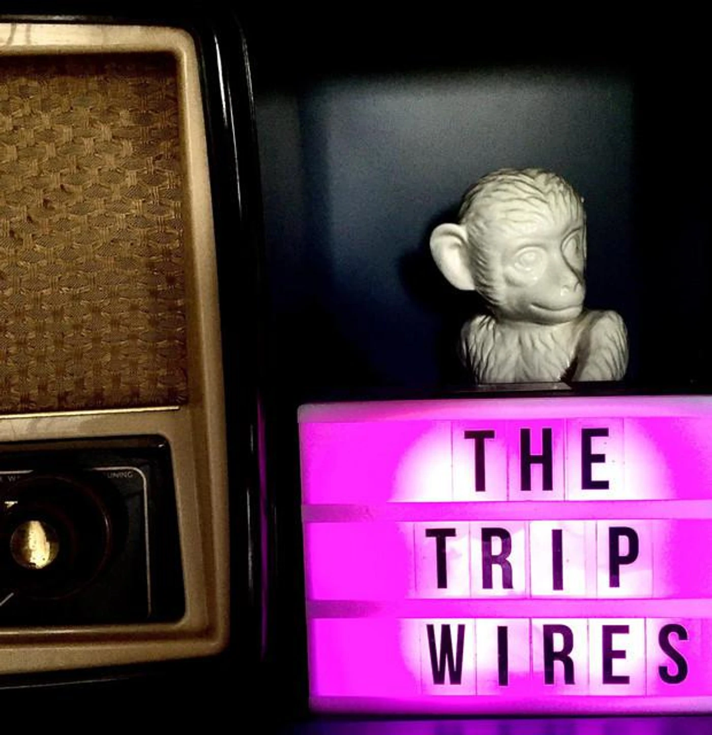 The Tripwires