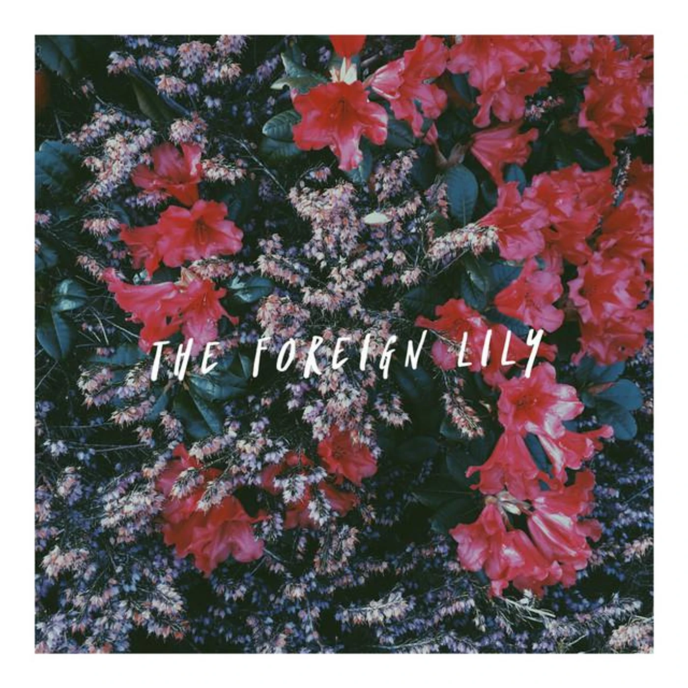 The Foreign Lily