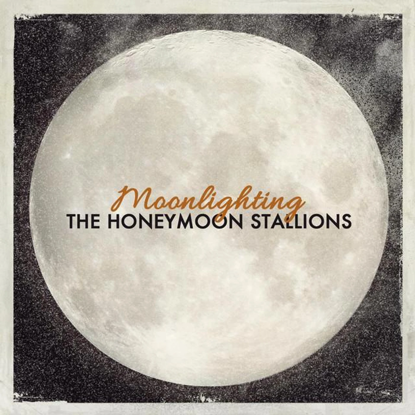 The Honeymoon Stallions