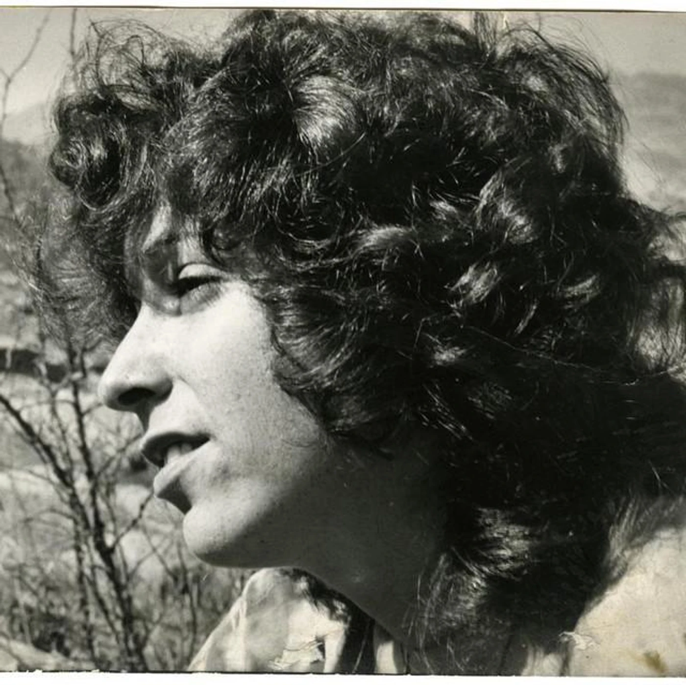 Elyse Weinberg