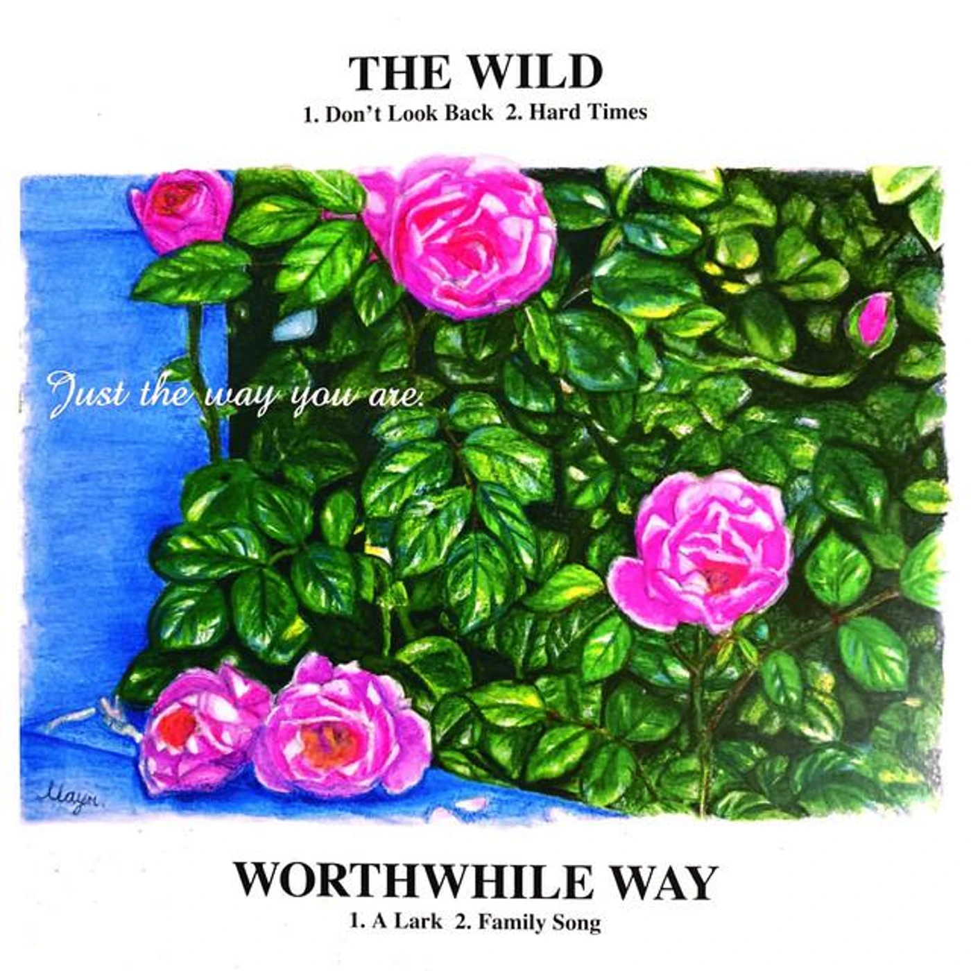 The Wild