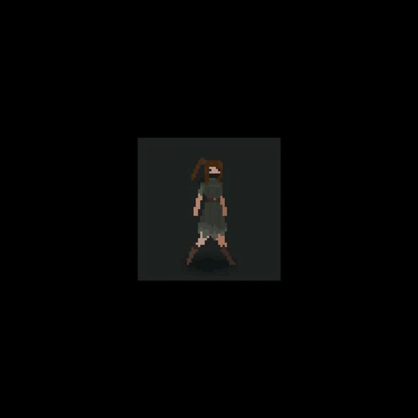 8-bit Flip