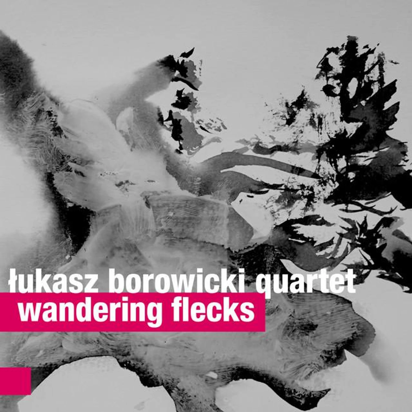 Łukasz Borowicki Quartet