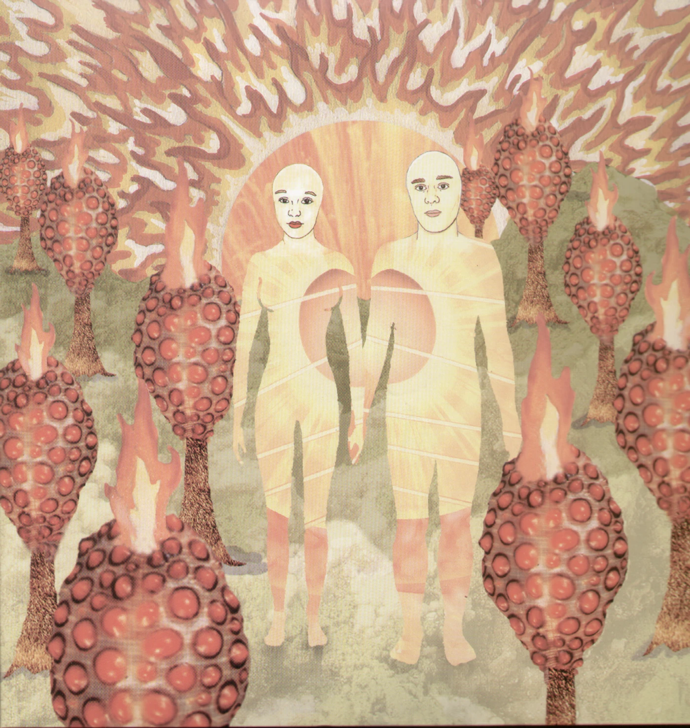 of Montreal SUNLANDIC TWINS Vinyl Record
