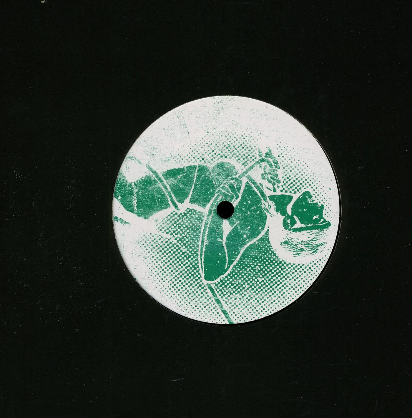 Audiofly X Mar Del Plata Vinyl Record