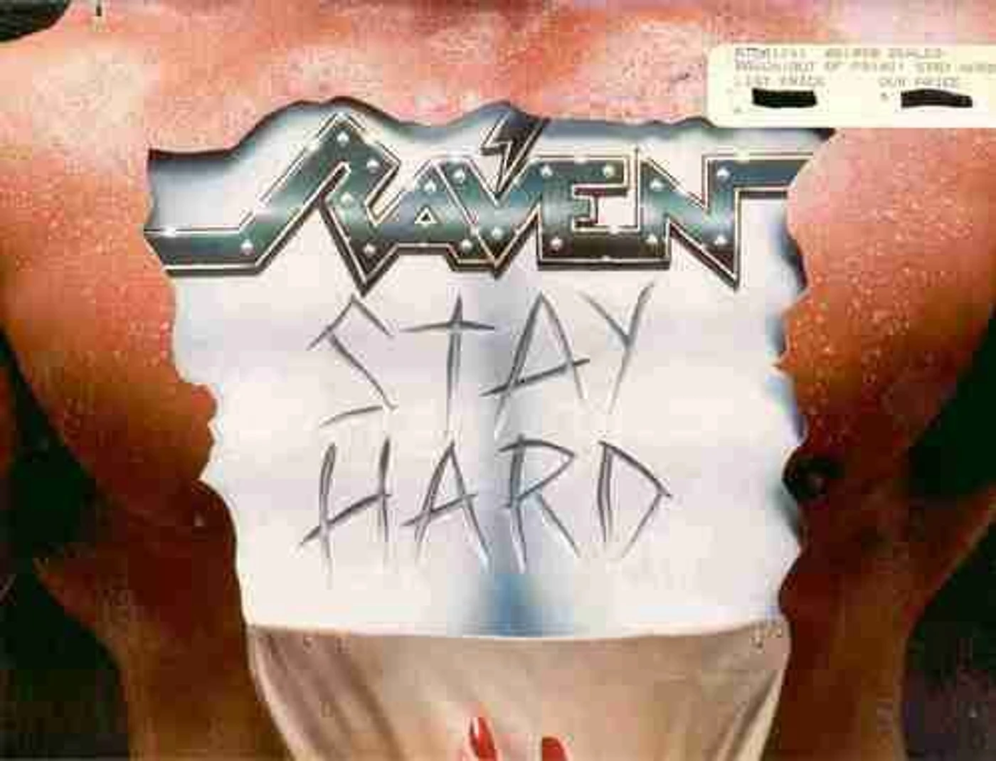 Raven Stay Hard Vinyl Record