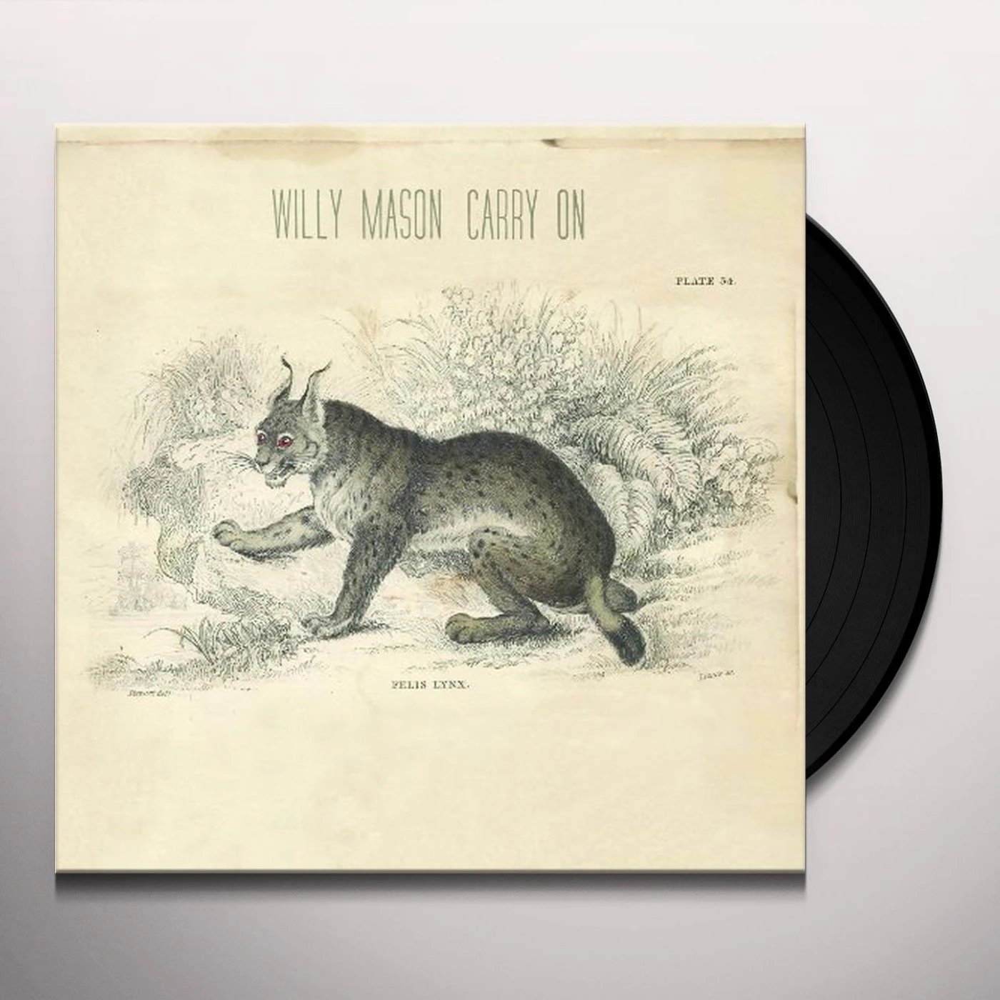 Willy Mason Carry On Vinyl Record