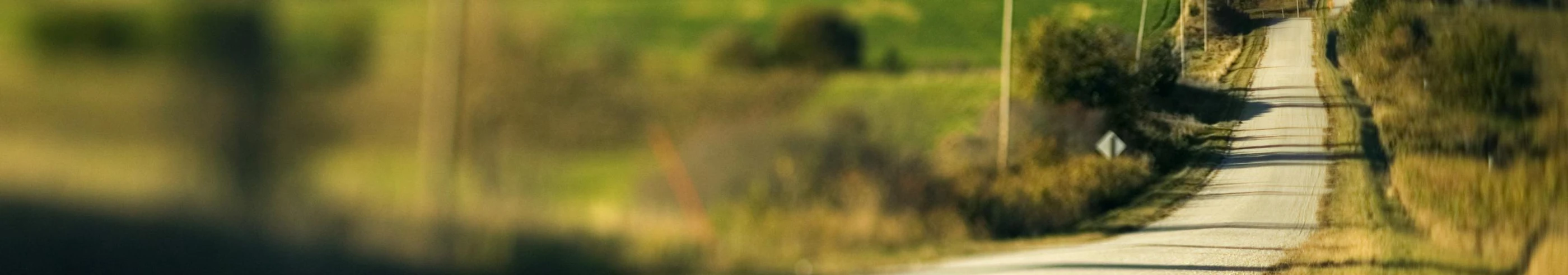 Chillin' on a Dirt Road