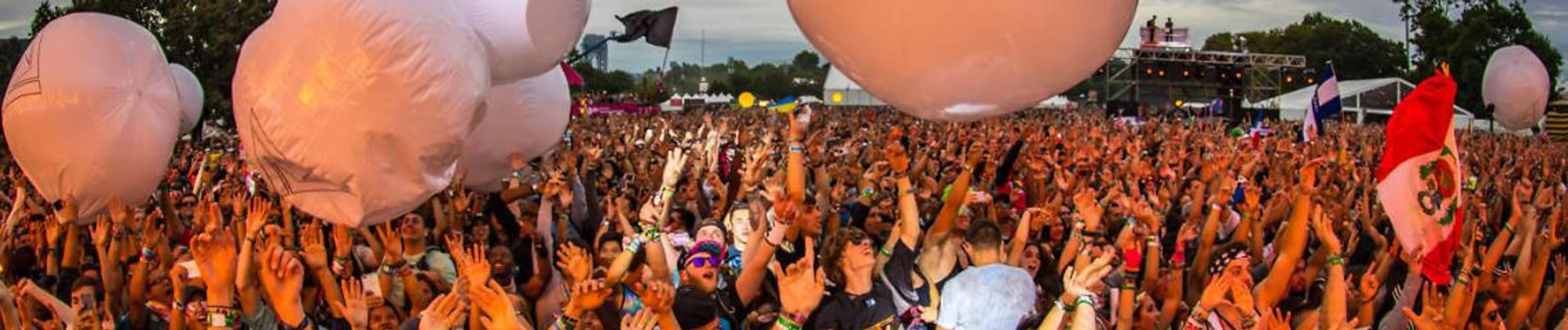 Electric Zoo