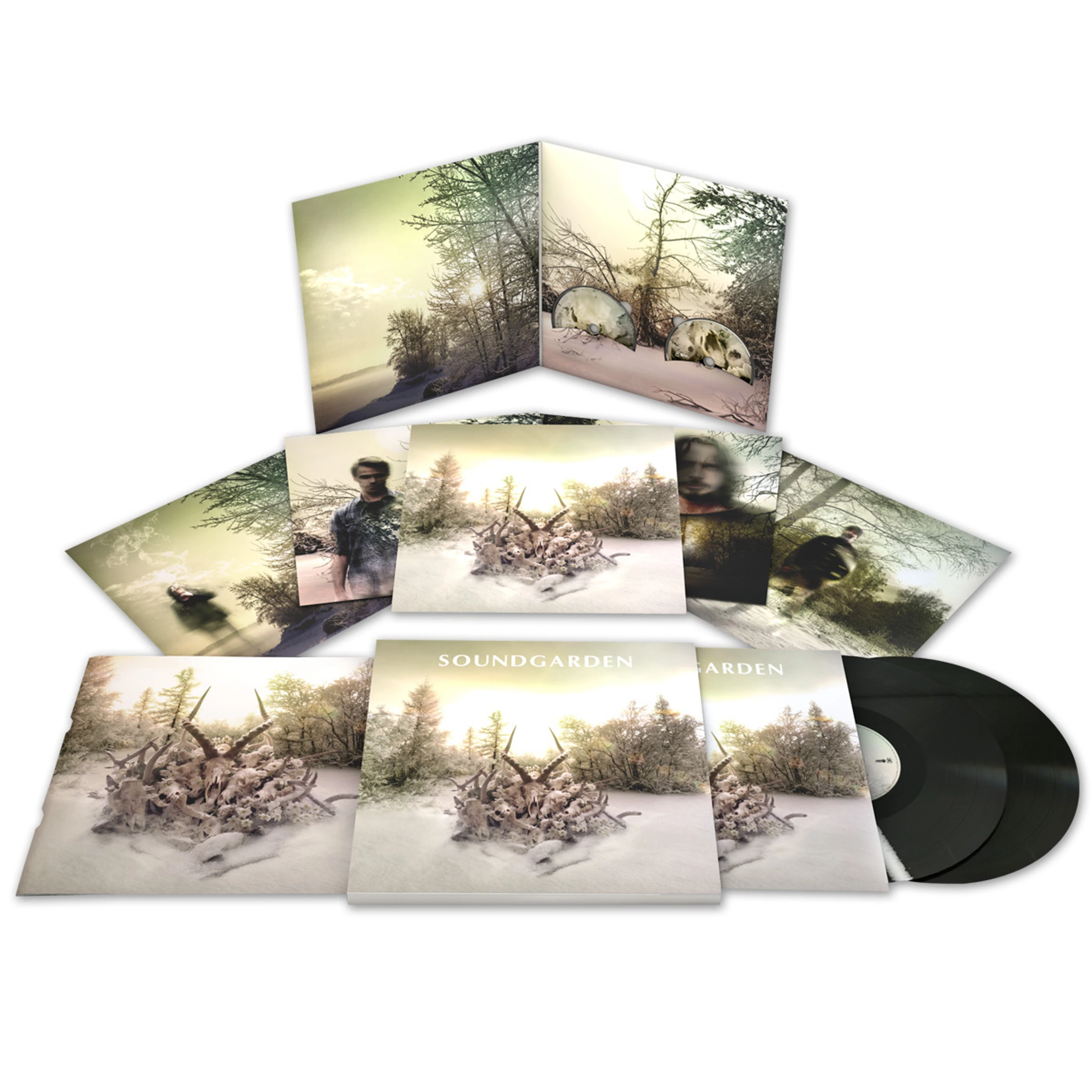 Artists Playing the Bridge School Benefit