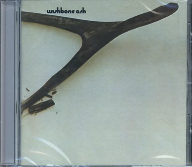 ASH国内紙ジャケCD12枚　特典帯、アーガスBOX付 レア！！WISHBONE