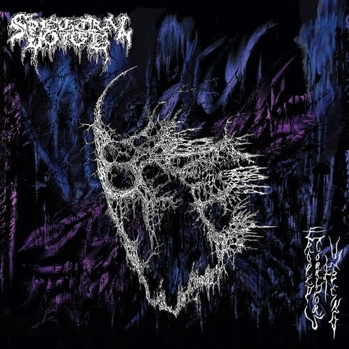 Dragged Into Sunlight HATRED FOR MANKIND CD