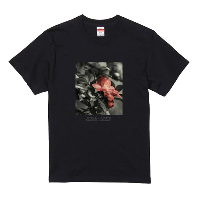 the cabs Store: Official Merch & Vinyl